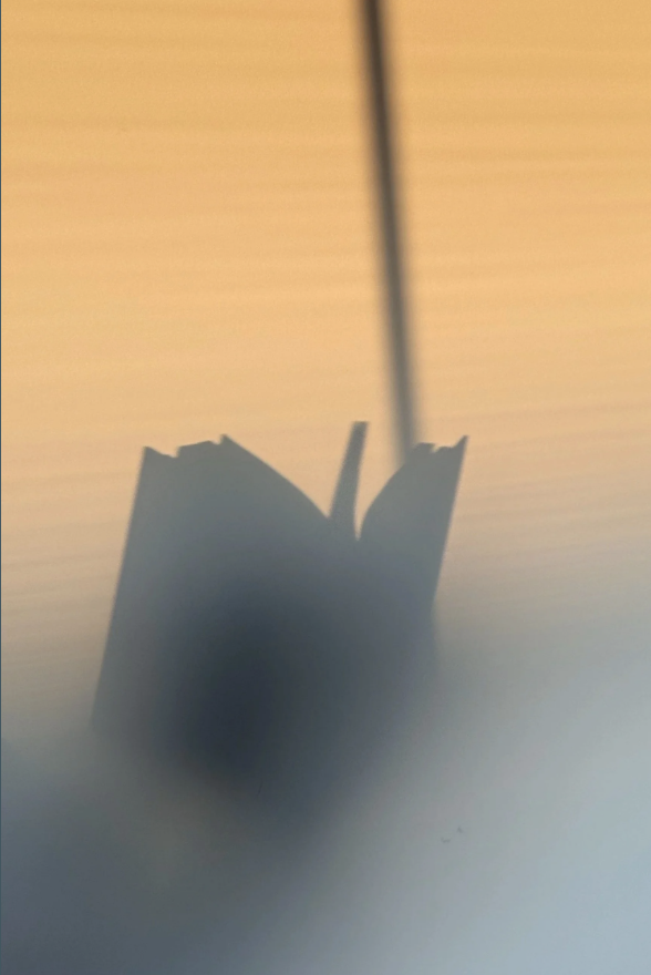 Book silhouette against warm light